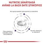 ROYAL CANIN Adult Large Dog, L-XL, dieta veterinara, hrana uscata caini, 13 kg (Diete Veterinare - Caini)