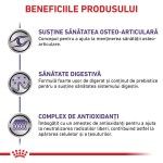 ROYAL CANIN Adult Large Dog, L-XL, dieta veterinara, hrana uscata caini, 13 kg (Diete Veterinare - Caini)