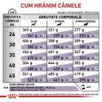 ROYAL CANIN Adult Large Dog, L-XL, dieta veterinara, hrana uscata caini, 13 kg (Diete Veterinare - Caini)