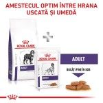 ROYAL CANIN Adult Large Dog, L-XL, dieta veterinara, hrana uscata caini, 13 kg (Diete Veterinare - Caini)