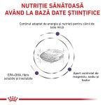 ROYAL CANIN Adult Small Dog, XS-S, dieta veterinara, hrana uscata caini, 4 kg (Diete Veterinare - Caini)