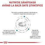 ROYAL CANIN Anallergenic, dieta veterinara, hrana uscata pisici, alergii alimentare, 2 kg (Diete Veterinare - Pisici)