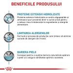 ROYAL CANIN Anallergenic, dieta veterinara, hrana uscata pisici, alergii alimentare, 2 kg (Diete Veterinare - Pisici)