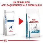 ROYAL CANIN Anallergenic, XS-XL, dieta veterinara, hrana uscata caini, alergii alimentare, 3 kg (Diete Veterinare - Caini)