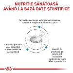 ROYAL CANIN Anallergenic, XS-XL, dieta veterinara, hrana uscata caini, alergii alimentare, 3 kg (Diete Veterinare - Caini)