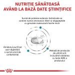 ROYAL CANIN Anallergenic Small Dog, XS-S, dieta veterinara, hrana uscata caini, alergii alimentare, 3 kg (Diete Veterinare - Caini)