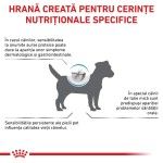 ROYAL CANIN Anallergenic Small Dog, XS-S, dieta veterinara, hrana uscata caini, alergii alimentare, 3 kg (Diete Veterinare - Caini)