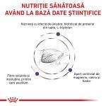 ROYAL CANIN Calm, dieta veterinara, hrana uscata pisici, sistem nervos & linistire/ comportament, 2 kg (Diete Veterinare - Pisici)