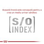 ROYAL CANIN Calm, dieta veterinara, hrana uscata pisici, sistem nervos & linistire/ comportament, 2 kg (Diete Veterinare - Pisici)