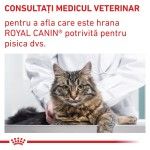 ROYAL CANIN Calm, dieta veterinara, hrana uscata pisici, sistem nervos & linistire/ comportament, 2 kg (Diete Veterinare - Pisici)