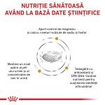 ROYAL CANIN Urinary S/O Ageing 7+, S-XL, dieta veterinara, hrana uscata caini senior, sistem urinar, 8 kg (Diete Veterinare - Caini)