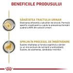 ROYAL CANIN Urinary S/O Ageing 7+, S-XL, dieta veterinara, hrana uscata caini senior, sistem urinar, 8 kg (Diete Veterinare - Caini)
