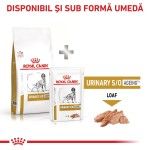 ROYAL CANIN Urinary S/O Ageing 7+, S-XL, dieta veterinara, hrana uscata caini senior, sistem urinar, 8 kg (Diete Veterinare - Caini)
