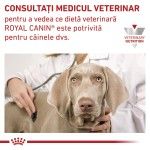 ROYAL CANIN Urinary S/O Ageing 7+, S-XL, dieta veterinara, hrana uscata caini senior, sistem urinar, 8 kg (Diete Veterinare - Caini)