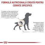 ROYAL CANIN Urinary S/O Ageing 7+, S-XL, dieta veterinara, hrana uscata caini senior, sistem urinar, 8 kg (Diete Veterinare - Caini)