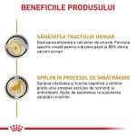 ROYAL CANIN Urinary S/O Ageing 7+, XS-XL, dieta veterinara, plic hrana umeda caini senior, sistem urinar, (pate), bax, 12x85 g (Diete Veterinare - Caini)