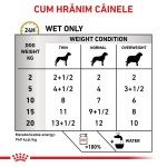 ROYAL CANIN Urinary S/O Ageing 7+, XS-XL, dieta veterinara, plic hrana umeda caini senior, sistem urinar, (pate), bax, 12x85 g (Diete Veterinare - Caini)