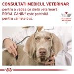 ROYAL CANIN Urinary S/O Ageing 7+, XS-XL, dieta veterinara, plic hrana umeda caini senior, sistem urinar, (pate), bax, 12x85 g (Diete Veterinare - Caini)