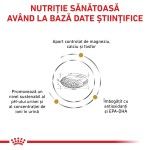 ROYAL CANIN Urinary S/O, M-XL, dieta veterinara, hrana uscata caini, sistem urinar, 2 kg (Diete Veterinare - Caini)