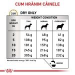 ROYAL CANIN Urinary S/O, M-XL, dieta veterinara, hrana uscata caini, sistem urinar, 2 kg (Diete Veterinare - Caini)