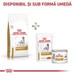 ROYAL CANIN Urinary S/O, M-XL, dieta veterinara, hrana uscata caini, sistem urinar, 2 kg (Diete Veterinare - Caini)
