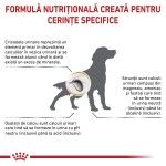 ROYAL CANIN Urinary S/O, M-XL, dieta veterinara, hrana uscata caini, sistem urinar, 2 kg (Diete Veterinare - Caini)