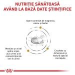 ROYAL CANIN Urinary S/O Small Dog, XS-S, dieta veterinara, hrana uscata caini, sistem urinar, 8 kg (Diete Veterinare - Caini)