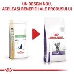 ROYAL CANIN Dental, dieta veterinara pisici, sensibilitati dentare, 1.5 kg (Diete Veterinare - Pisici)