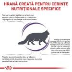 ROYAL CANIN Dental, dieta veterinara pisici, sensibilitati dentare, 1.5 kg (Diete Veterinare - Pisici)