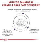 ROYAL CANIN Dental, dieta veterinara pisici, sensibilitati dentare, 1.5 kg (Diete Veterinare - Pisici)