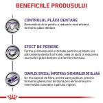 ROYAL CANIN Dental, dieta veterinara pisici, sensibilitati dentare, 1.5 kg (Diete Veterinare - Pisici)