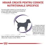 ROYAL CANIN Dental Small Dog, XS-S, dieta veterinara, hrana uscata caini, sensibilitati dentare, 1.5 kg (Diete Veterinare - Caini)