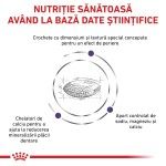 ROYAL CANIN Dental Small Dog, XS-S, dieta veterinara, hrana uscata caini, sensibilitati dentare, 1.5 kg (Diete Veterinare - Caini)