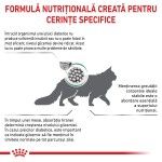 ROYAL CANIN Diabetic, dieta veterinara, hrana uscata pisici, diabet, 1.5 kg (Diete Veterinare - Pisici)