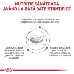 ROYAL CANIN Diabetic, dieta veterinara, hrana uscata pisici, diabet, 1.5 kg (Diete Veterinare - Pisici)