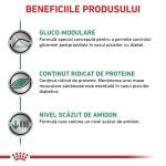 ROYAL CANIN Diabetic, dieta veterinara, hrana uscata pisici, diabet, 1.5 kg (Diete Veterinare - Pisici)