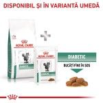 ROYAL CANIN Diabetic, dieta veterinara, hrana uscata pisici, diabet, 1.5 kg (Diete Veterinare - Pisici)