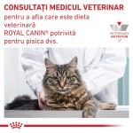 ROYAL CANIN Diabetic, dieta veterinara, hrana uscata pisici, diabet, 1.5 kg (Diete Veterinare - Pisici)