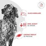 ROYAL CANIN Glycobalance, dieta veterinara, hrana uscata caini, 1.5 kg (Diete Veterinare - Caini)