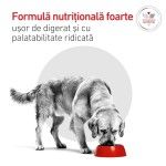 ROYAL CANIN Glycobalance, dieta veterinara, hrana uscata caini, 7 kg (Diete Veterinare - Caini)