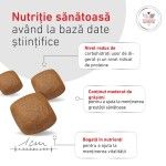 ROYAL CANIN Glycobalance, dieta veterinara, hrana uscata caini, 12 kg (Diete Veterinare - Caini)