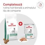 ROYAL CANIN Glycobalance, dieta veterinara, hrana uscata caini, 12 kg (Diete Veterinare - Caini)