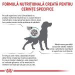 ROYAL CANIN Diabetic, XS-XL, dieta veterinara, hrana uscata caini, diabet, 1.5 kg (Diete Veterinare - Caini)