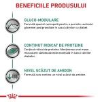 ROYAL CANIN Diabetic, XS-XL, dieta veterinara, hrana uscata caini, diabet, 1.5 kg (Diete Veterinare - Caini)