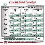 ROYAL CANIN Diabetic, XS-XL, dieta veterinara, hrana uscata caini, diabet, 1.5 kg (Diete Veterinare - Caini)
