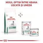 ROYAL CANIN Diabetic, XS-XL, dieta veterinara, hrana uscata caini, diabet, 1.5 kg (Diete Veterinare - Caini)