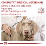 ROYAL CANIN Diabetic, XS-XL, dieta veterinara, hrana uscata caini, diabet, 1.5 kg (Diete Veterinare - Caini)