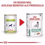ROYAL CANIN Diabetic Special Low Carbohydrate, XS-XL, dieta veterinara, conserva hrana umeda caini, obezitate & diabet, 410 g (Diete Veterinare - Caini)