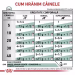 ROYAL CANIN Diabetic Special Low Carbohydrate, XS-XL, dieta veterinara, conserva hrana umeda caini, obezitate & diabet, 410 g (Diete Veterinare - Caini)