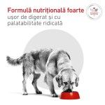 ROYAL CANIN Glycobalance, dieta veterinara, hrana umeda caini, conserva, 195 g (Diete Veterinare - Caini)